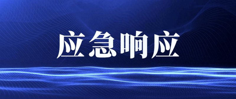 应急响应